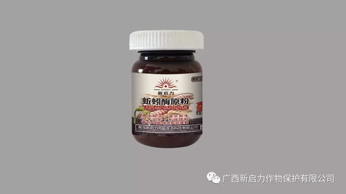 新启力11.11 订购狂欢节