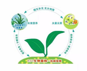 认识鼎微 土壤修复中的重要合成微生物菌剂