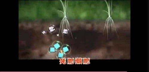 金坷垃真实成分与土壤修复的科学解读